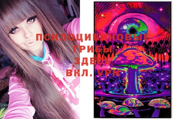 хмурый Алексеевка