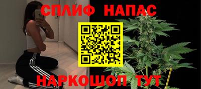 шишки Сланцы