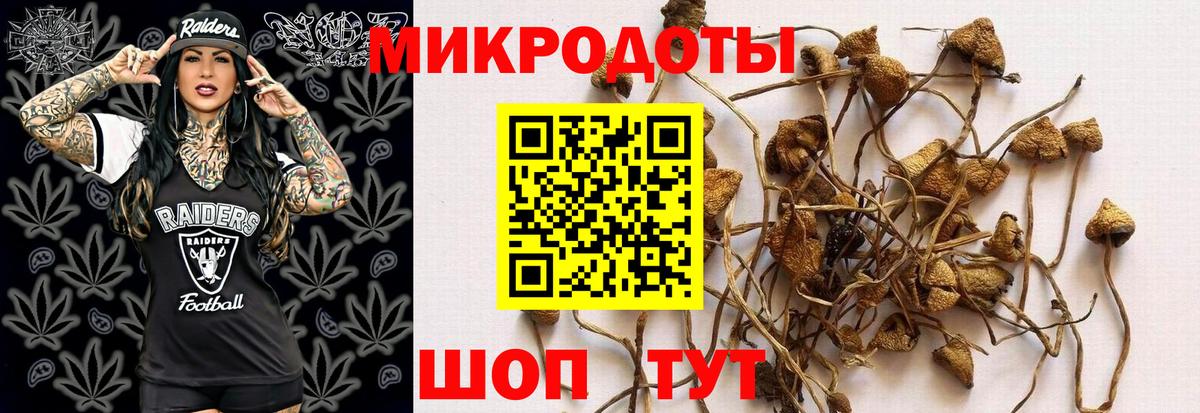 Псилоцибиновые грибы Magic Shrooms  закладки  Томск  Вход с VPN 